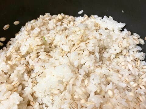 GOHAN快腸ご飯の炊き方